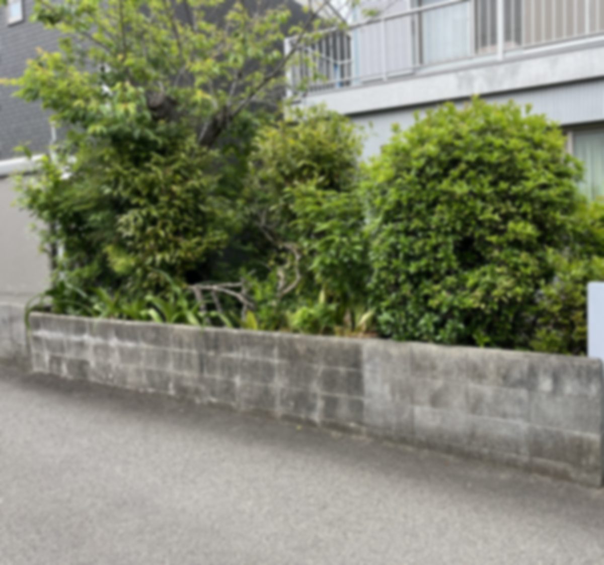 お庭の外構リフォームの作業前